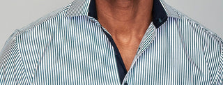 The Earl