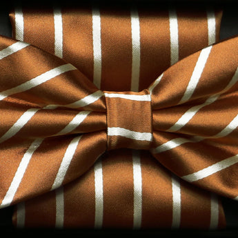 Steven Land Bow Tie and Hanky Set | Striped Pattern Pre-Tied