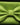 Woven texture lime bow tie and hanky set, perfect for adding a pop of color to formal attire.