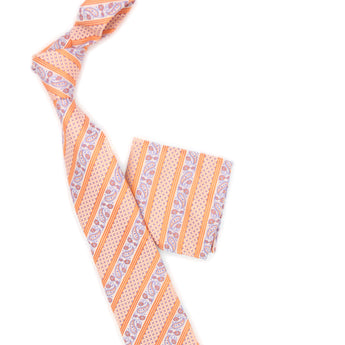 Steven Land HD Collection | Tie + Matching Hanky Set | HD2171 | Stripe Paisley